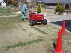 �R�A�����O�̗l�q