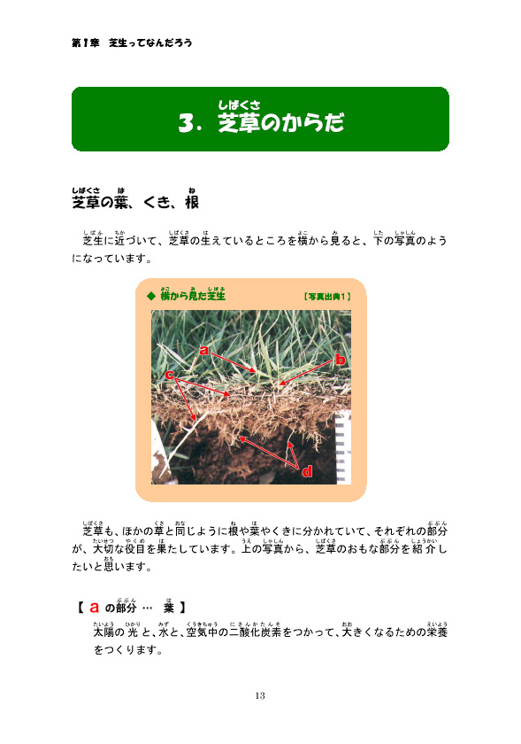 �ő��̂��炾