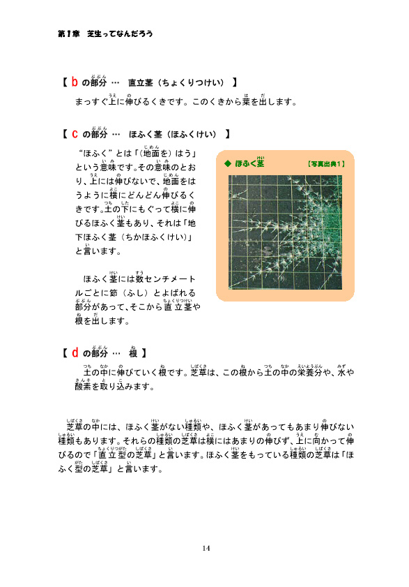 �ő��̂��炾