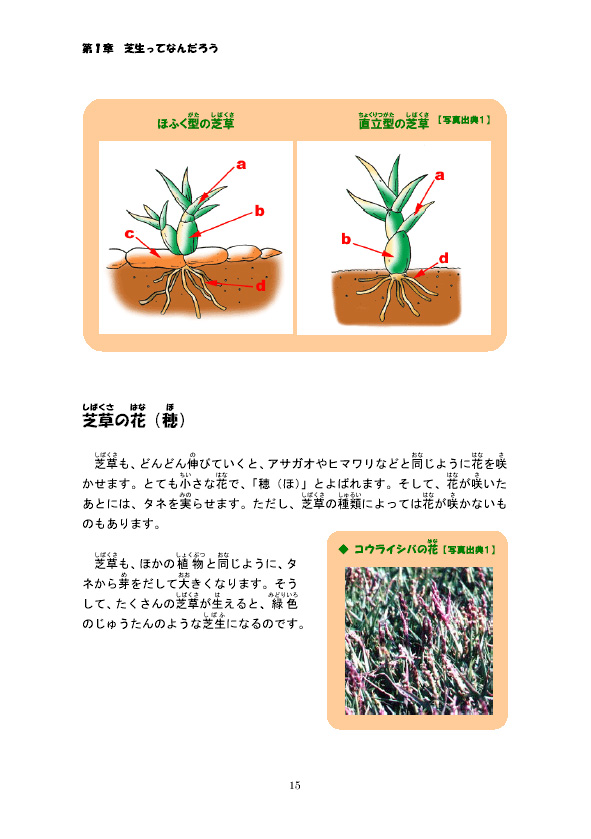 �ő��̂��炾