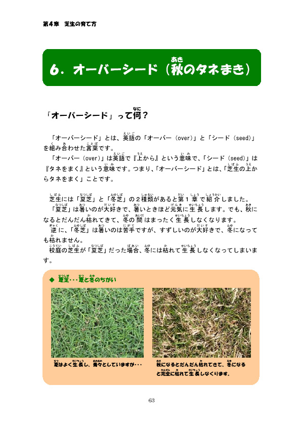 �I�[�o�[�V�[�h