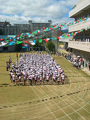 ���w�������w�Z�^����