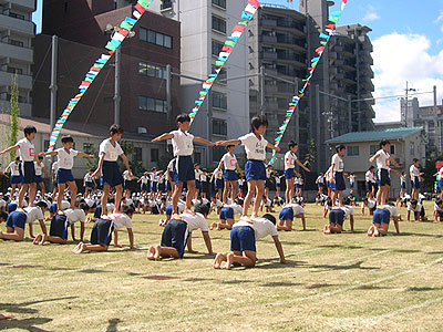 ���w�������w�Z�^����