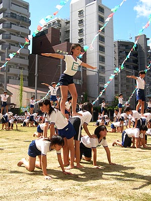 ���w�������w�Z�^����