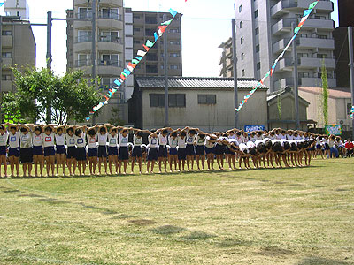 ���w�������w�Z�^����