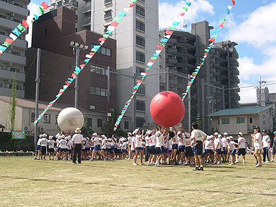 ���w�������w�Z�^����