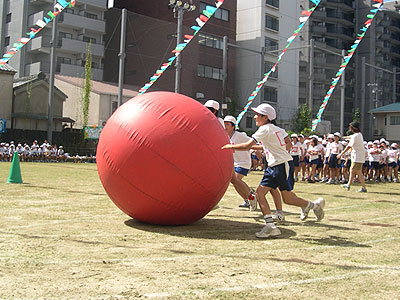 ���w�������w�Z�^����