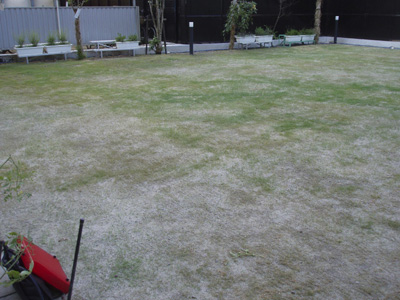 ����O��@��܂���R�T�Ԍ�̂悤��