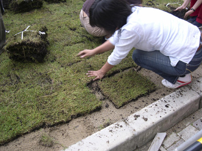 ����ō��