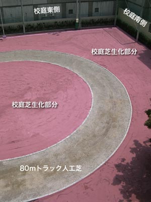 �Ő�������