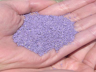 �o�~���[�_�O���X�u���r�G���v�i�g�n�^�j