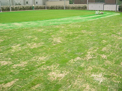 �p�g�i���