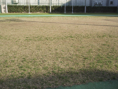 �I�[�o�[�V�[�h�����Q������i12��19���j�̂悤���q�g���b�N�����r