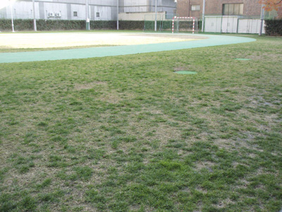 �I�[�o�[�V�[�h�����Q������i12��19���j�̂悤���q�g���b�N�O���r