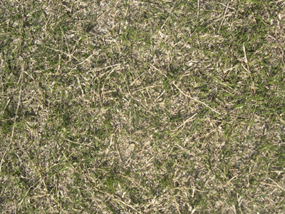 ��܂�����10����̂悤��