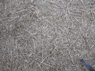 ��܂�����P������̒���