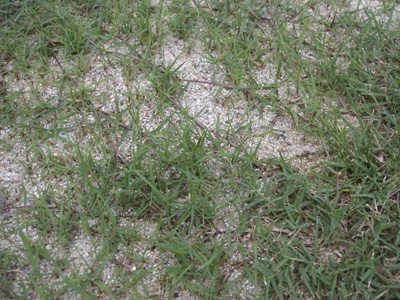 ��܂������P������i7��20���j