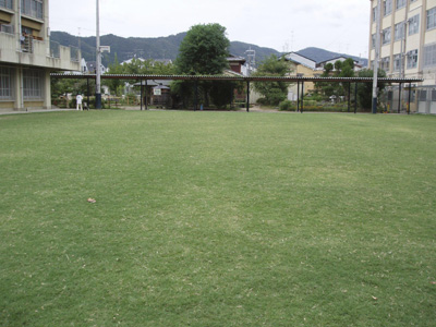 ��܂���ƌ�̒���